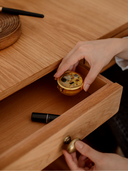 Yaşayan Malzemeler, Tasarımla Buluşan Evler