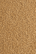 Mama Sallanan Koltuk - Renkli Cila